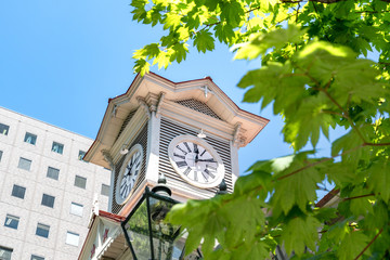 晴れた日の札幌時計台 / 北海道 札幌市の観光イメージ
