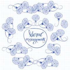 Bindweed. Isolated arrangements, nine variants  on squared paper from a notebook. Vector hand-drawn illustrations.