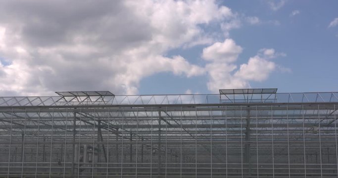 Greenhouse horticulture under cloudy sky, roof windows open. Controlled environment horticulture (CEH) is the most modern and sophisticated form of greenhouse horticulture
