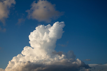 Algodonosas white clouds. Cumulus nimbus in the blue sky.