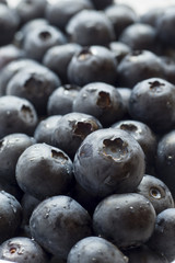 Background of ripe blueberries with dew drops
