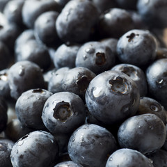 Background of ripe blueberries with dew drops