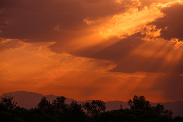 Naklejka premium Colorful summer sunrise landscape in the mountains.