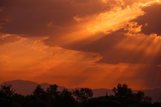 Fototapeta Colorful summer sunrise landscape in the mountains.