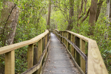 Nature walkway