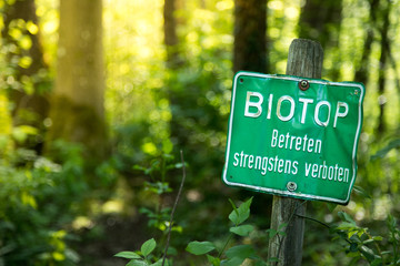 Naturschutzgebiet, Wald. Grünes Schild "Biotop, betreten verboten", Textfreiraum