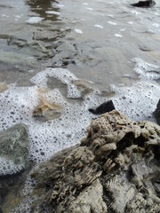 water
