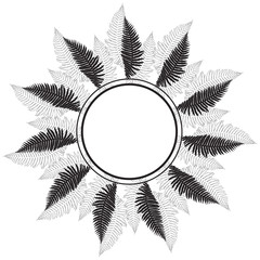 Floral background with ferns and place for text. Black and white vector round frame. Square.  It can be an invitation, a greeting card or an element of your design.