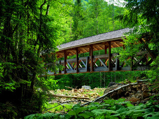 Passerelle menant à la Valsainte depuis le Val de Charmey, Gruyères, Suisse