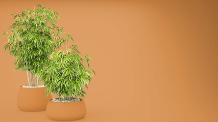Empty orange colored interior with potted bamboo, natural interior design concept, green idea with copy space