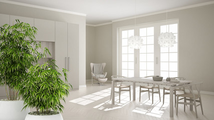 Zen interior with potted bamboo plant, natural interior design concept, classic white kitchen with wooden details, minimalistic and modern architecture