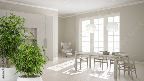 Zen interior with potted bamboo plant, natural interior