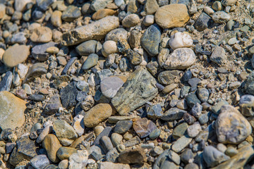 cobblestones and little stones background and texture