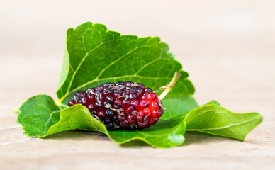 Close up of mulberry with a green leaves on the white background (Isolated background). This a...