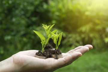close-up hand of person holding coin with soil and young plant on the top in soft nature background