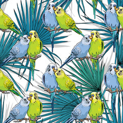 Fototapety  Wzór. Dwa piękne małe zielone i niebieskie papugi faliste pocałunek na liściach tropikalnych. Ilustracja wektorowa.