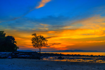 Fototapeta na wymiar Tropical beach at sunset