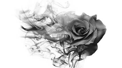 Smoke rose from - obrazy, fototapety, plakaty