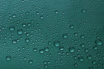 water drops on green background texture