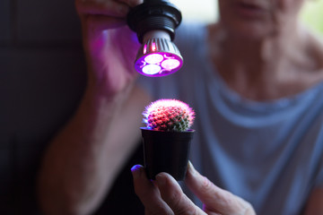 plant growing lamp