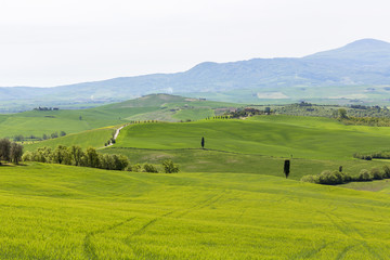 View of a hilly rural Italian landscape
