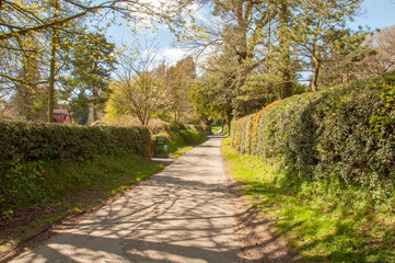 Fototapeta na wymiar Summertime country road in the English countryside of Herefordshire.