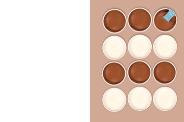 Creative picture of chocolate and vanilla ice cream on a white background