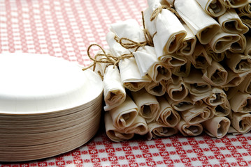 Picnic Place Setting Table Napkins and Meal