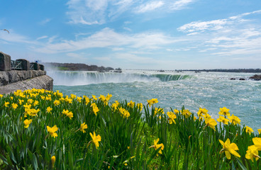 Niagra Falls