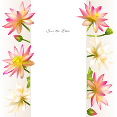 Lotus. Flowers. Floral background. Water lily. Buds. Invitation. Petals. Vector illustration. Isolated. White background. Border. Buddhism. India. Spa. Design for cosmetics.