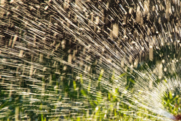 Splashing water to water the lawn as a background