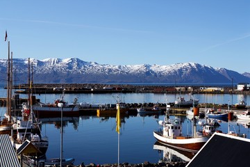 Fototapeta na wymiar Puerto pesquero en la costa norte de Islandia.