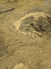 pollen texture 2