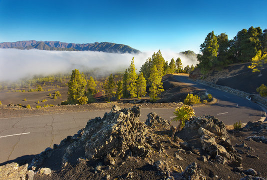 Road in the volcanic landscape, island of La Palma, Canary Islands, Spain