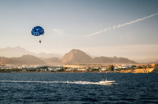 Parasailing in sky near beach towed by motor boat at sunset. Sharm el Sheikh, Red Sea, Sinai Peninsula, Egypt