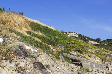 Fototapeta na wymiar Perspective shot of grass covered hill under blue sky