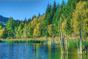 Obraz premium Cuiejdel