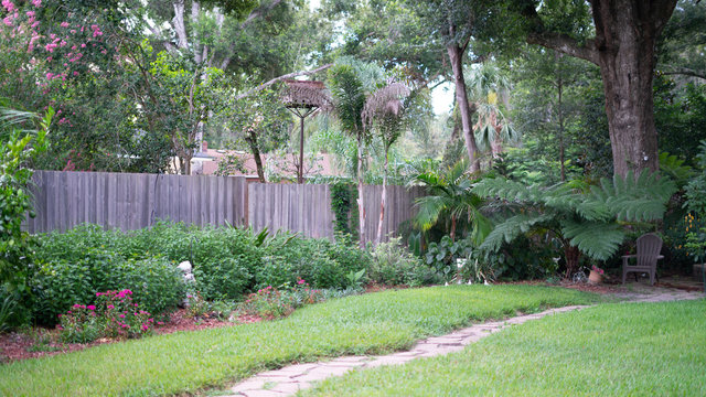 Summer Garden