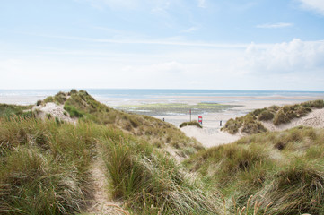 Fototapeta na wymiar Summer sand dunes along the coast of Wales.