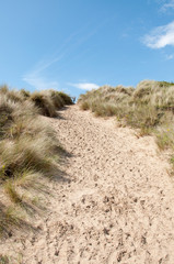 Summer sand dunes along the coast of Wales.