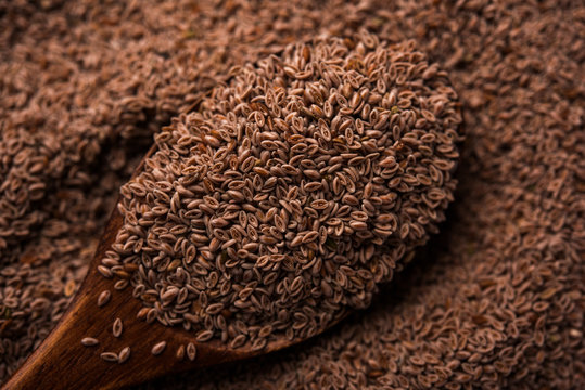 Psyllium husk or isabgol which is fiber derived from the seeds of Plantago ovata, mainly found in India. Served in a bowl over moody background. selective focus
