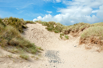 Summer sand dunes along the coast of Wales.