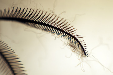 volumetric texture objects