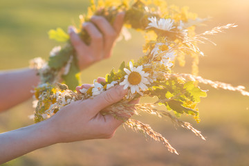 Midsummer in Latvia: celebration of Ligo - a young woman weave a wreath and collect field flowers - obrazy, fototapety, plakaty