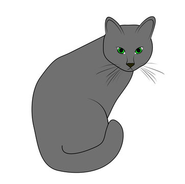 Vector illustration, isolated grey domestic cat with green eyes, outline hand painted drawing