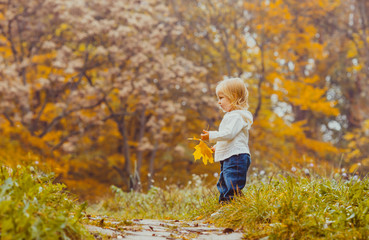 Baby in the autumn park