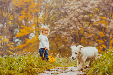 The amazing trip on the autumn day