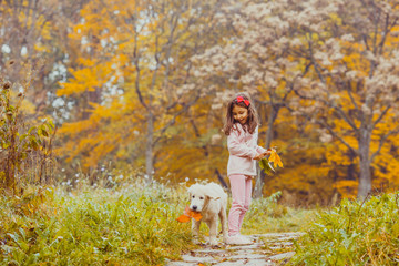 The girl and her golden retriever dog