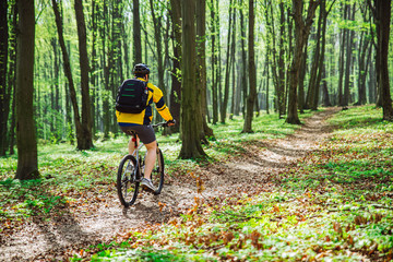 man ride bicycle in the forest in summer day