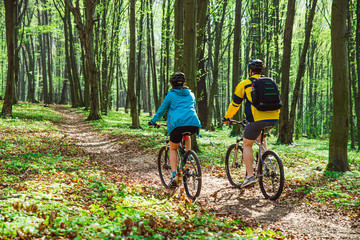 couple riding bicycle in forest in warm day. view from behind